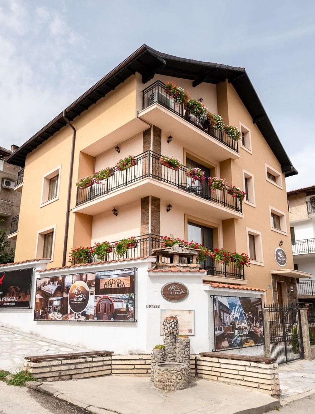 Beluga Guest House Βέλινγκραντ Εξωτερικό φωτογραφία